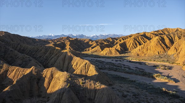 Canyon through a landscape of eroded hills at sunrise, Badlands, white mountain peaks of the Tian Shan Mountains in the background, Canyon of the Forgotten Rivers, Issyk Kul, Kyrgyzstan, Asia
