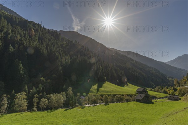 Agriculture, Alpine pasture in the Zillergrund valley, Ziller mountain stream, Alpine meadow, Zillertal Alps, mountain slope, coniferous forest, backlight, blue sky, Tyrol, Austria, Europe