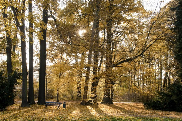 The Great Garden was laid out from 1676 for the Elector Prince and later Elector Johann Georg III as a hunting garden with a star-shaped network of paths. From 1678, master builder Johann Georg Starcke built the palace in the Great Garden in coordination with the garden plans by Johann Friedrich Karcher