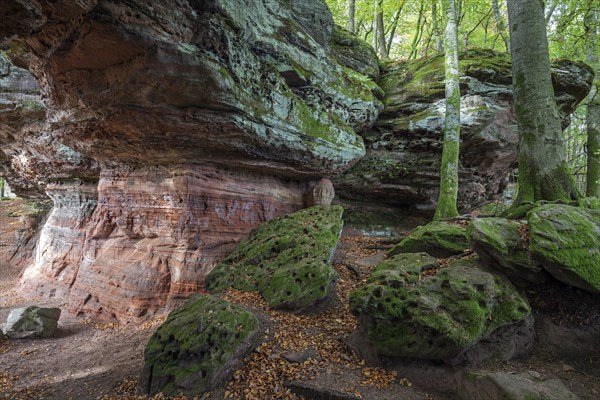 Old castle rock, red sandstone rock formation, natural and cultural monument, Brechenberg near Eppenbrunn, Palatinate Forest, Rhineland-Palatinate, Germany, Europe