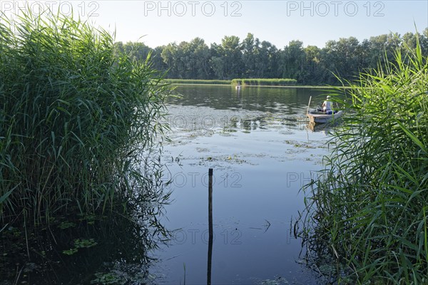 Lake Pince-Lapos in the Hortobagy region, Debrecen, Hungary, Southeast Europe, Europe