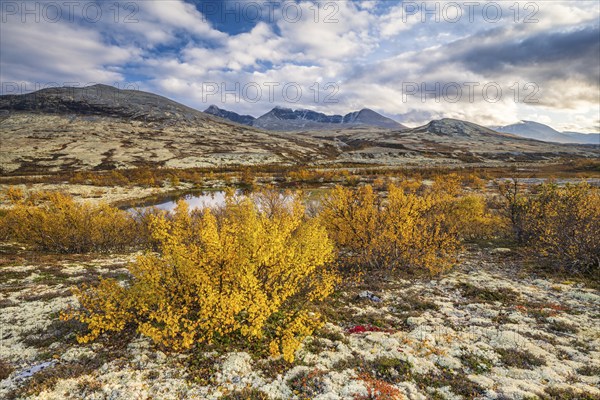Autumn landscape in Rondane National Park, mountains Høgronden, Midtronden and Digerronden Dørålen, Dørålseter, Norway, Europe