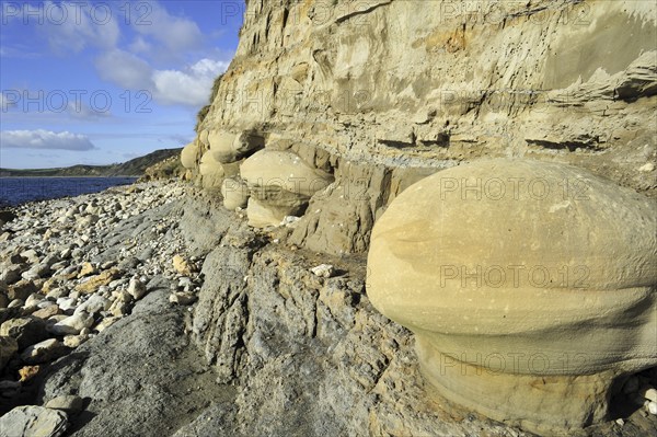 Rounded nodules on the beach near Osmington Mills, made of calcite-cemented sandstone, come from the Bencliff Grit Formation along the Jurassic Coast, Dorset, southern England, UK