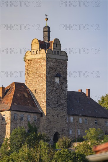 Old keep building with clock tower and several windows in a natural setting, Allstedt, Harz, Germany, Europe