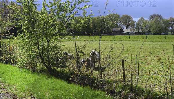 NL, Eesergroen: Spring characterises the landscape, towns and people in the province of Drenthe in the Netherlands. The village of Eesergroen in Drenthe. NL, Eesergroen: Spring shapes the landscape, cities and people in the province of Drenthe in the Netherlands