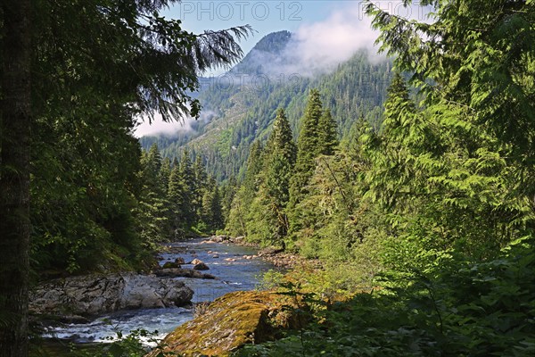 Unknown, picturesque valley with steep mountain slopes through which a stream flows, Vancouver Island