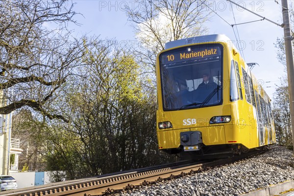 Cog railway of the Stuttgarter Straßenbahnen AG SSB. The railway is popularly known as the Zacke and is a landmark of the city of Stuttgart, Baden-Württemberg, Germany, Europe