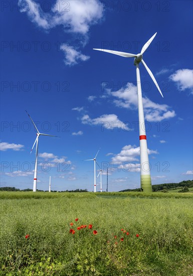 Wind farm near Brilon-Radlinghausen, Sauerland, North Rhine-Westphalia, Germany, Europe