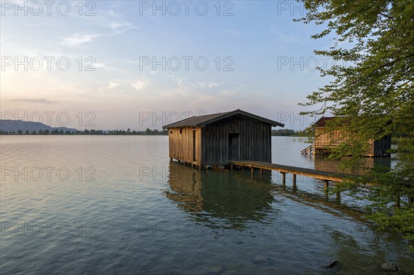 Boat huts with wooden jetty, sunset at Lake Kochel near Kochel am See, Bavarian Alpine foothills, Alps, Upper Bavaria, Bavaria, Germany, Europe