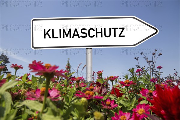 Climate protection symbol: flowers against a blue sky, with the word CLIMATE PROTECTION on an arrow in the background (Composing)
