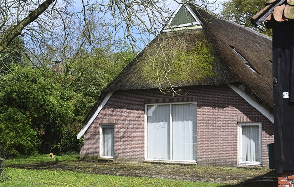 NL, Eesergroen: Spring characterises the landscape, towns and people in the province of Drenthe in the Netherlands. The picturesque village of Ees in Drenthe. NL, Eesergroen: Spring shapes the landscape, cities and people in the province of Drenthe in the Netherlands