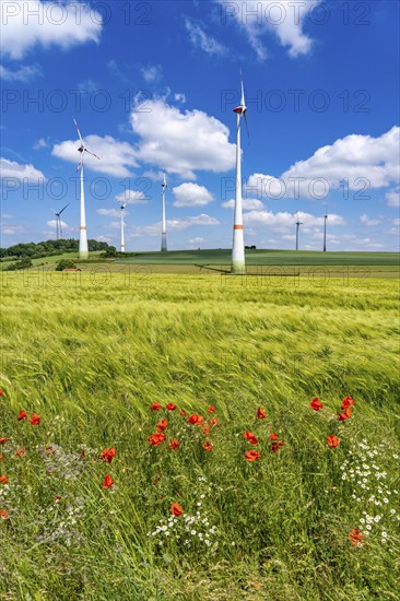 Wind farm near Brilon-Radlinghausen, Sauerland, North Rhine-Westphalia, Germany, Europe