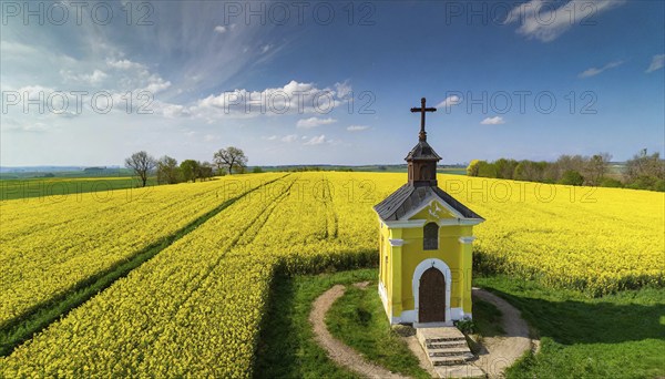 Agriculture, rape field, in full bloom, yellow, in it a small prayer chapel, aerial view, AI generated, AI generated