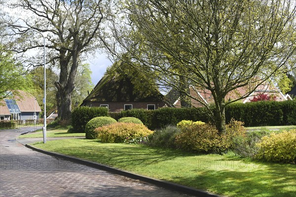 NL, Eesergroen: Spring shapes the landscape, cities and people in the province of Drenthe in the Netherlands. the village of Ees
