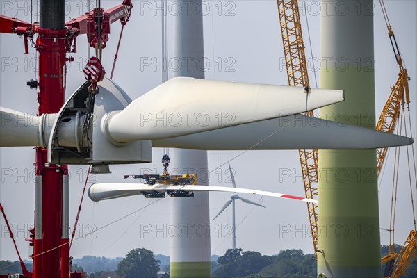 Dismantling of a wind power plant in a wind farm near Issum, 9 older wind turbines from the manufacturer Enercon (model series E-58), front, blades being dismantled, were in operation for over two decades, will be replaced by a total of four Enercon E-160 turbines, rear, assembly of the first blade, with a total output of 22 megawatts, Lower Rhine, North Rhine-Westphalia, Germany, Europe