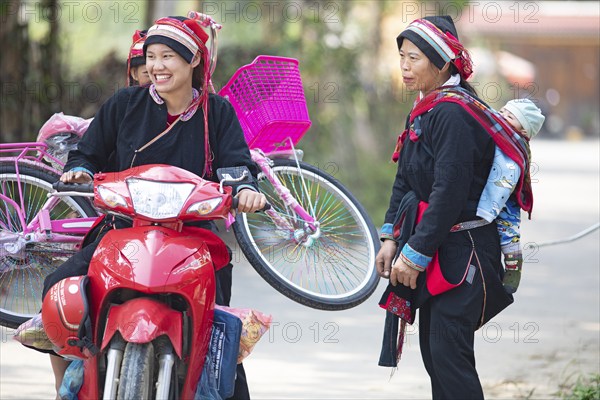 Vietnamese woman in traditional traditional costume from the Dao minority transport a pink bicycle on a moped, Nam Dam Dao Cultural Village, Ha Giang province, Vietnam, Asia