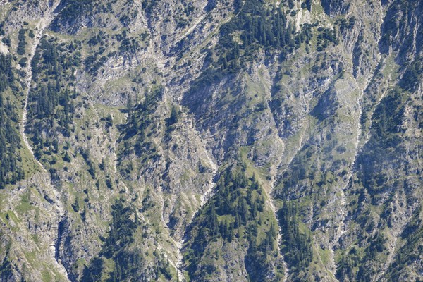 Mountain forest and erosion gullies, Himmelschrofen near Oberstdorf, Allgäu Alps, Allgäu, Bavaria, Germany, Europe