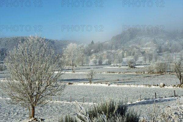 Aubrac plateau in winter. Lozere department. Occitanie. France