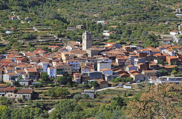 Looking down on rooftops of nucleated village Garganta la Olla, La Vera, Extremadura, Spain, Europe