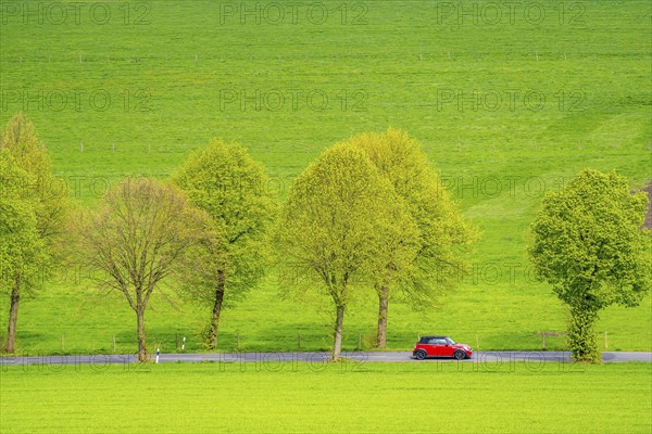 Car on a country road, green fields, meadows, trees line the 2-lane road, spring, near Schwelm, North Rhine-Westphalia, Germany, Europe