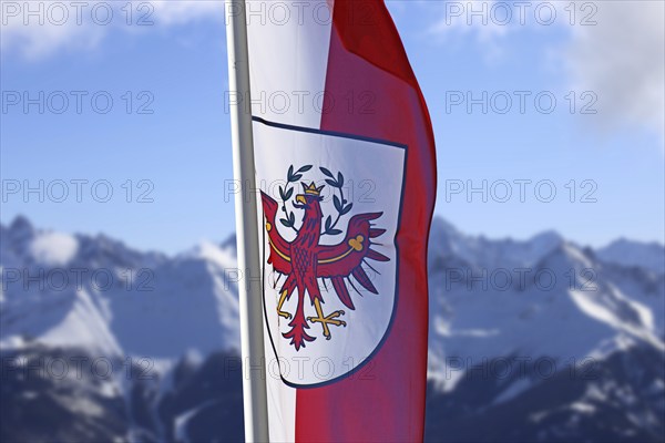 Österreichische Flagge mit schneebeckten Bergen im Hintergrund (Austrian flag with snow-covered mountains in the background)