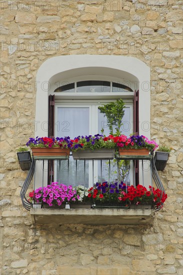 Window with floral decoration, shutters, one, balcony railing, idyll, house wall, Pernes-les-Fontaines, Vaucluse, Provence, France, Europe