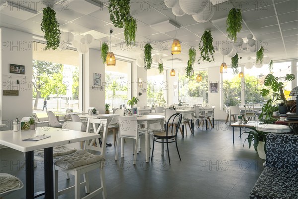 Modern café with light-coloured furniture and plenty of natural light, decorated with plants and hanging lamps, Böblingen, Germany, Europe