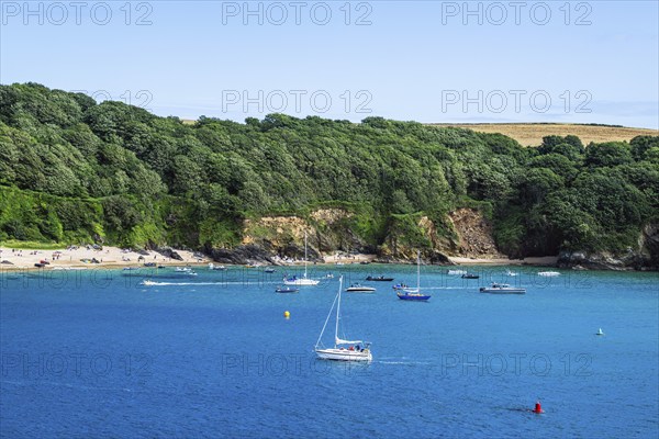 Boats and Yachts on Kingsbridge Estuary in Salcombe and Mill Bay, Batson Creek, Southpool Creek, Devon, England, United Kingdom, Europe