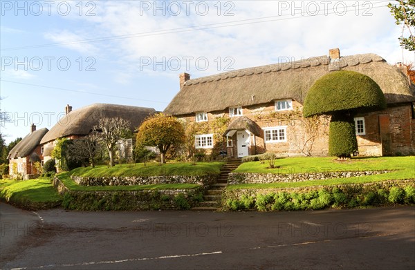 Attractive traditional thatched cottages in village of Woodborough, Wiltshire, England, UK