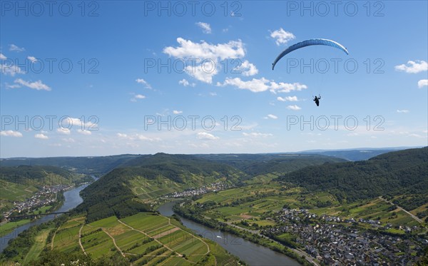 Paraglider flies high above the river with a wide view over the landscape, Paragliding, Bremm, Cochem, Cochem-Zell, Rhineland-Palatinate, Germany, Europe