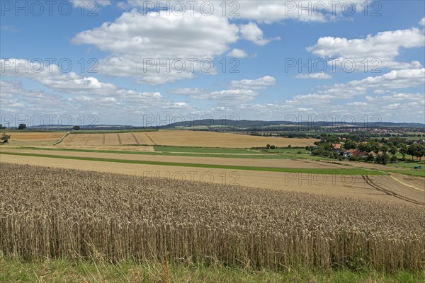 Fields, Landscape, Wittenburg, Elze, Lower Saxony, Germany, Europe