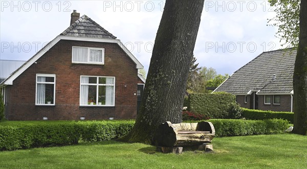 NL, Eesergroen: Spring characterises the landscape, towns and people in the province of Drenthe in the Netherlands. The picturesque village of Ees in Drenthe. NL, Eesergroen: Spring shapes the landscape, cities and people in the province of Drenthe in the Netherlands