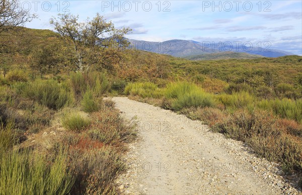 Sierra de Tormantos mountains, near Cuacos de Yuste, view of La Vera valley, Extremadura, Spain, Europe