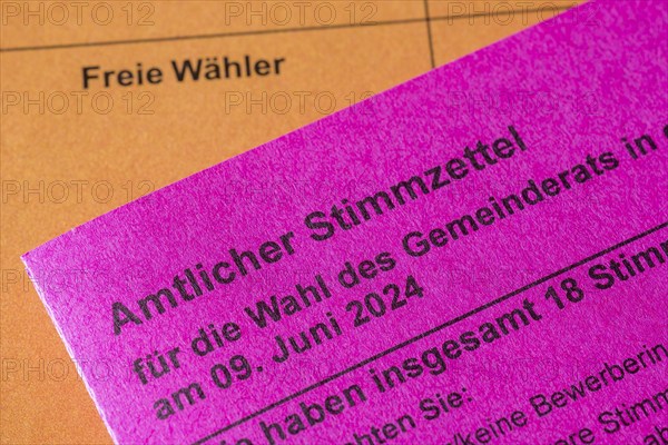 Official ballot papers, ballot papers, election matter, independent voters, regional election, district council election, municipal council election