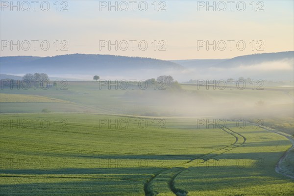Morning landscape with meadows and trees in the fog, sunrise behind hills, Mönchberg, Miltenberg, Spessart, Bavaria, Germany, Europe
