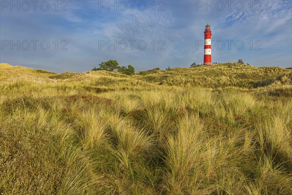 Amrum Island, landscape Germany, dune, dunes, grass, structure, shape, vegetation, lighthouse, Amrum, Amrum Island, Schleswig-Holstein, Germany, Europe