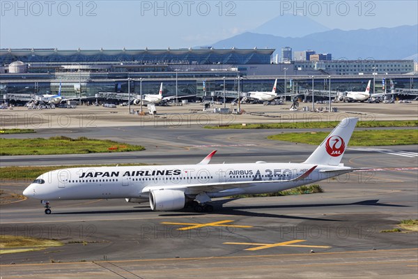 A JAL Japan Airlines Airbus A350-900 aircraft with the registration number JA02XJ at Tokyo Haneda Airport, Japan, Asia