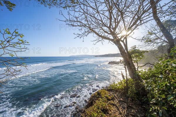 View of coast and sea, Playa Cocalito, coastal landscape in the evening light, Pacific coast, Nicoya Peninsula, Puntarenas Province, Costa Rica, Central America
