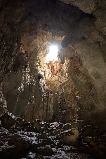 Cave entrance with long ladder, entrance to a stalactite cave, Terciopelo Cave, Barra Honda National Park, Costa Rica, Central America
