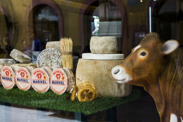 Cheese shop, Cheese shop, Old town, Colmar, Alsace, Bas-Rhin, France, Europe