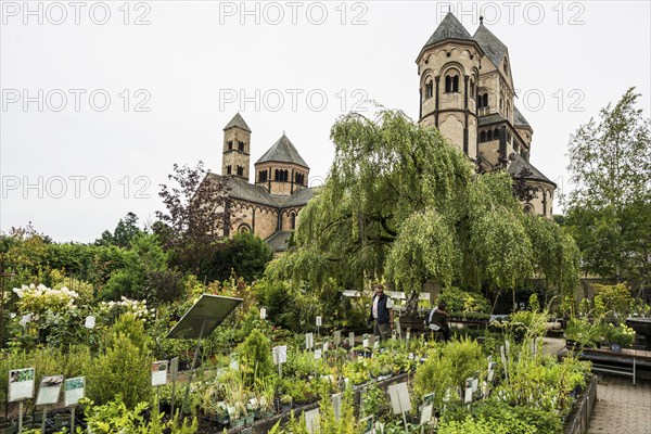 Romanesque monastery church, Benedictine Abbey Maria Laach, Eifel, Rhineland-Palatinate, Germany, Europe
