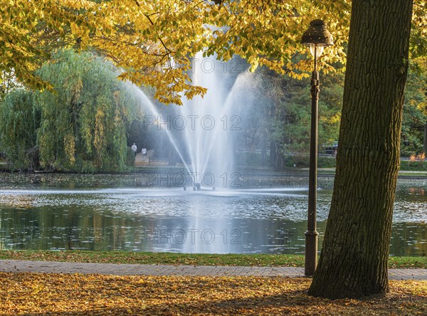 Autumn foliage, colourful trees, fountain in pond, park Französischer Garten (French Garden), Celle, Germany, Europe
