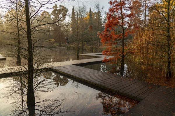 The Grugapark, Essen, botanical garden, park for leisure and recreation, by the forest lake, wooden walkways, autumn, Essen, North Rhine-Westphalia, Germany, Europe