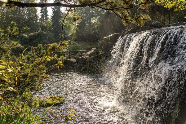 Grugapark, Essen, botanical garden, park for leisure and recreation, alpine garden, waterfall, autumn, North Rhine-Westphalia, Germany, Europe