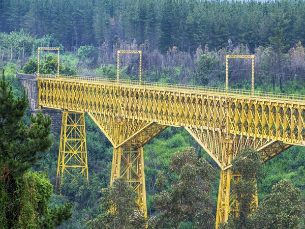 Malleco viaduct, railway bridge near Collipolli, historic industrial monument, Chile, South America