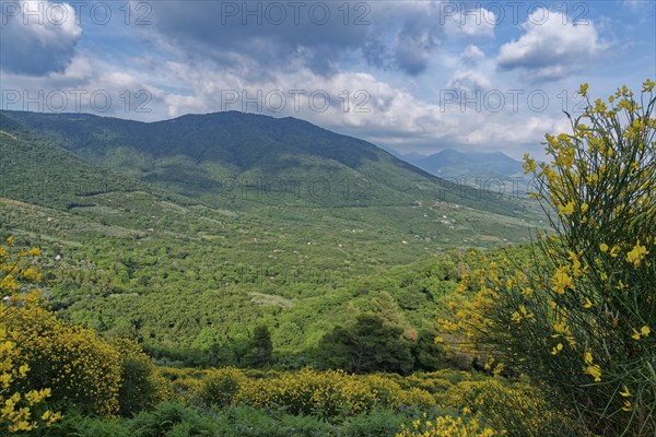 View of San Felice a Cancello in the valley in the Neapolitan region. San Felice a Cancello, Caserta, Campania, Italy, Southern Europe, Europe