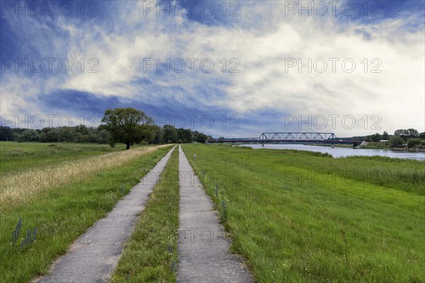 Border area between Germany and Poland, Lower Oder Valley National Park, Brandenburg, Germany, Europe