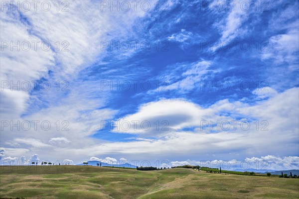 Landscape near Torrenieri, Tuscany, Italy, Europe