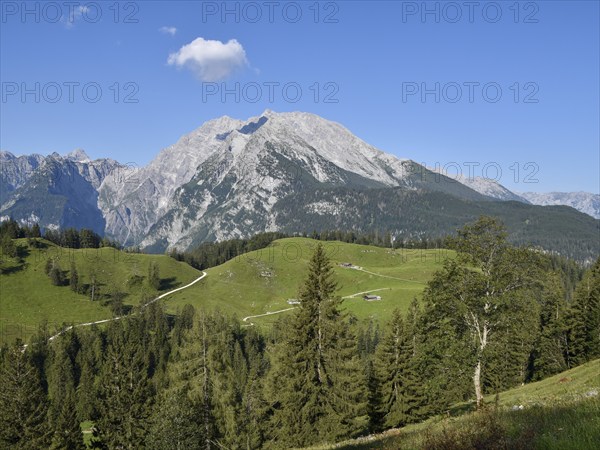 View across the Büchsenalm alpine pasture to the Watzmann with the Watzmann east face, Berchtesgaden National Park, Bavaria, Germany, Europe