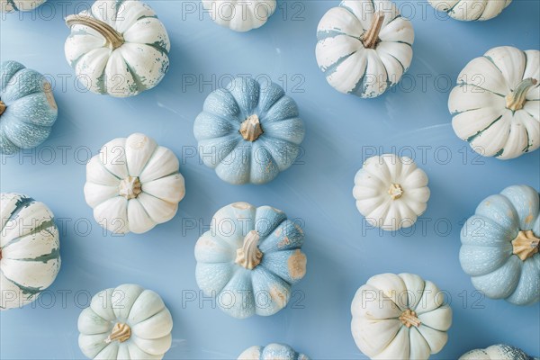 Top view of white and blue pumpkins on pastel blue background. Generative Ai, AI generated
